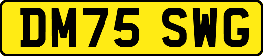 DM75SWG
