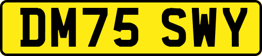DM75SWY