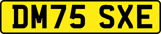 DM75SXE