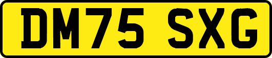 DM75SXG