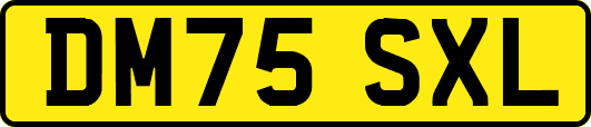 DM75SXL