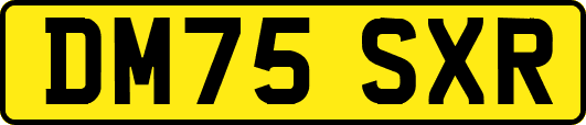 DM75SXR