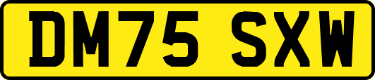 DM75SXW