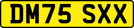 DM75SXX