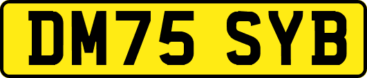 DM75SYB