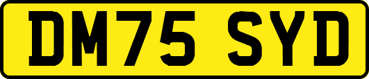 DM75SYD