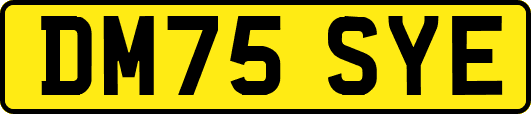 DM75SYE