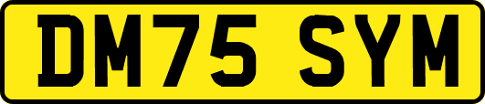 DM75SYM