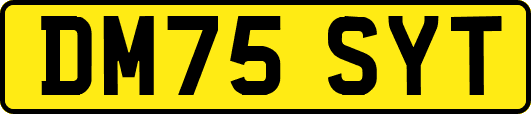DM75SYT