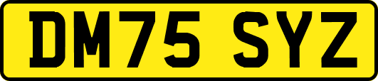 DM75SYZ