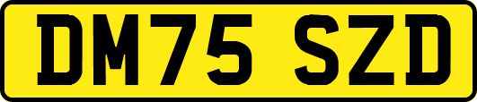 DM75SZD