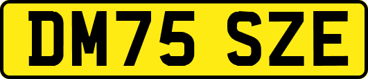 DM75SZE