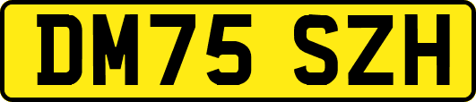 DM75SZH