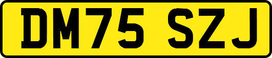 DM75SZJ
