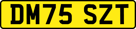 DM75SZT