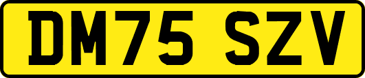 DM75SZV