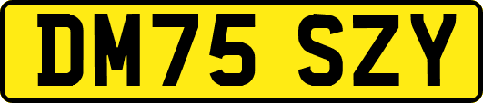 DM75SZY