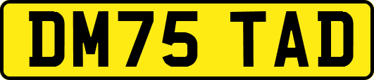 DM75TAD