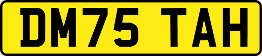 DM75TAH