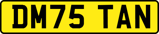 DM75TAN