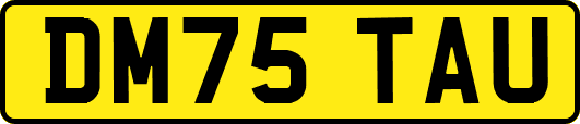 DM75TAU
