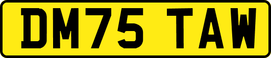 DM75TAW
