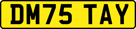 DM75TAY