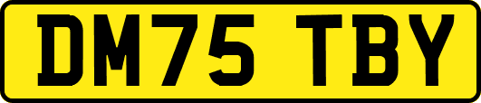 DM75TBY