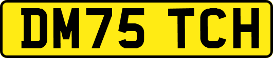 DM75TCH