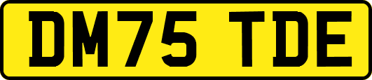 DM75TDE