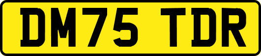 DM75TDR