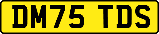 DM75TDS