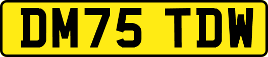 DM75TDW
