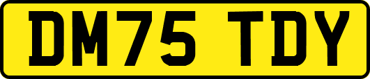 DM75TDY
