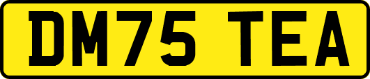 DM75TEA