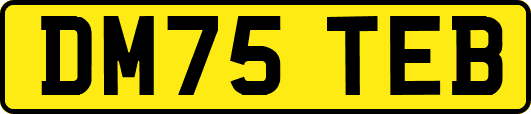 DM75TEB