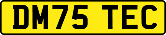 DM75TEC