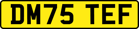 DM75TEF