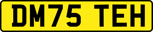 DM75TEH