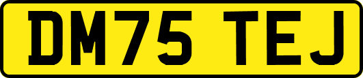 DM75TEJ