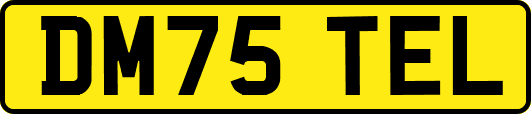 DM75TEL