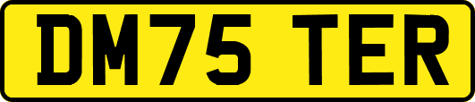 DM75TER