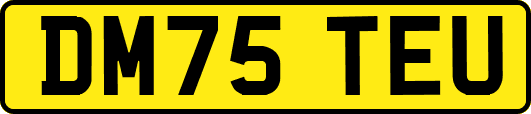 DM75TEU