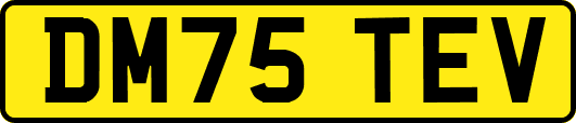 DM75TEV