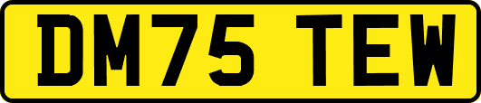 DM75TEW
