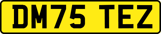 DM75TEZ