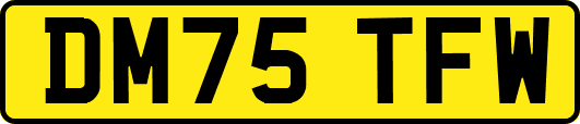 DM75TFW