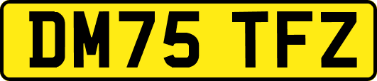 DM75TFZ