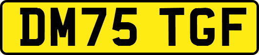 DM75TGF