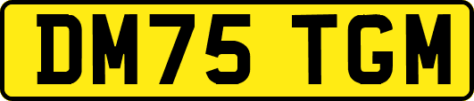 DM75TGM
